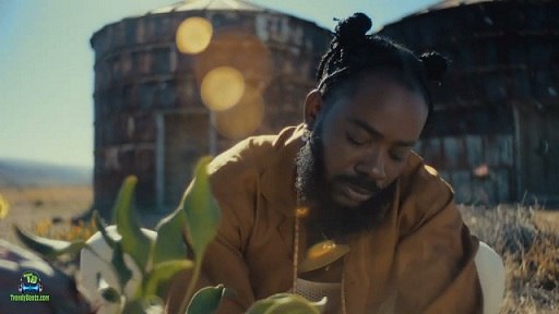 Adekunle Gold - It Is What It Is (Video)