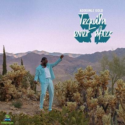 Adekunle Gold - Look What You Made Me Do ft Simi