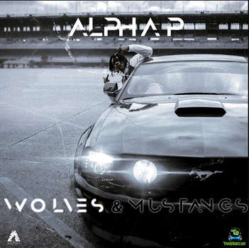 Alpha P - Mustang