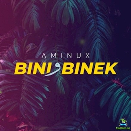 Aminux - Bini W Binek