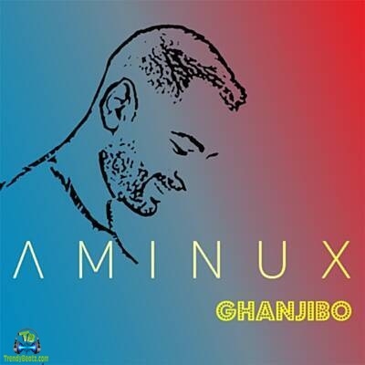 Aminux
