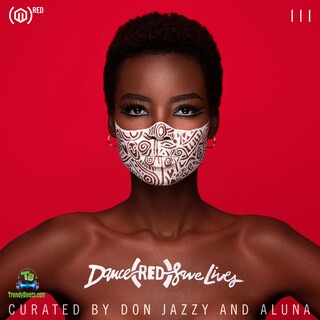 Ayra Starr - Ija (Remix) ft Tokimonsta