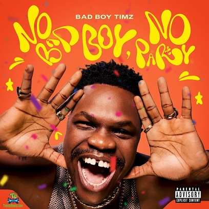 Download Bad Boy Timz No Bad Boy, No Party Album mp3