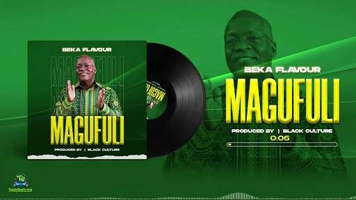 Beka Flavour - Magufuli