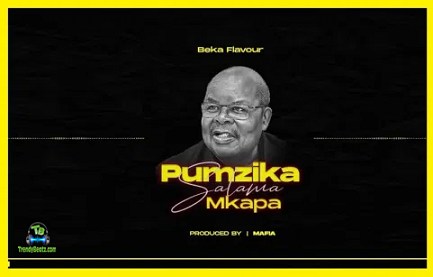 Beka Flavour - Pumzika Salama Mkapa