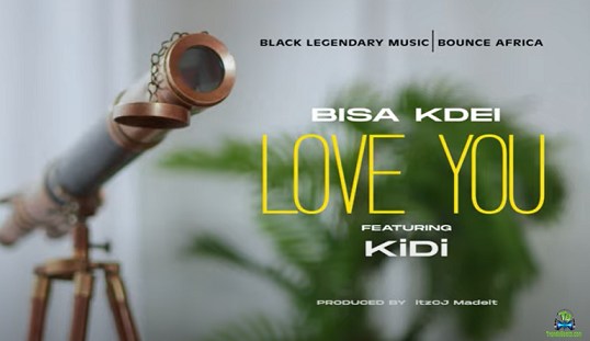 Bisa Kdei