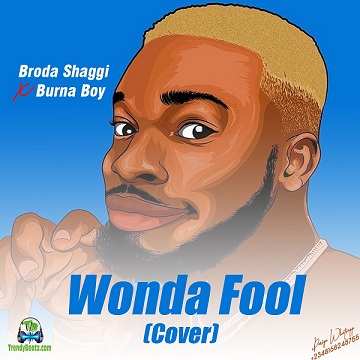 Broda Shaggi - Wonda Fool (Cover)