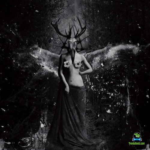 Brymo