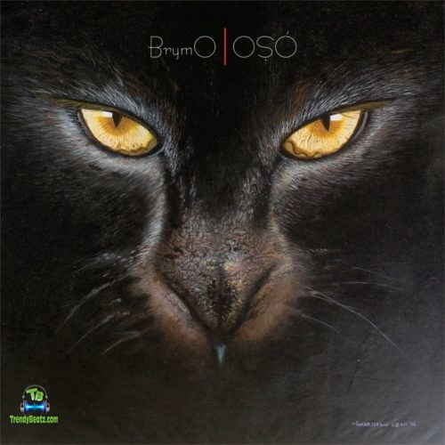 Brymo