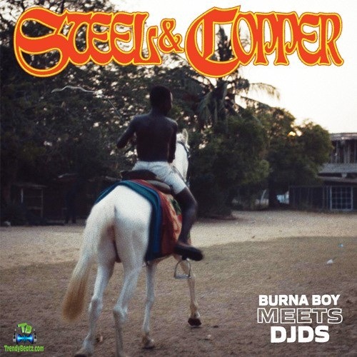 Burna Boy