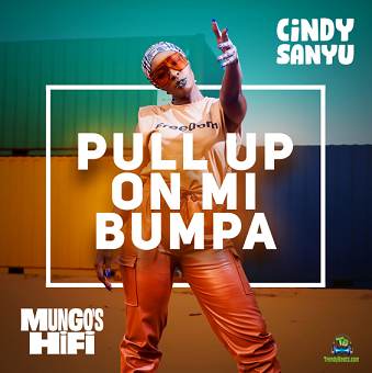 Cindy Sanyu - Pull Up On Mi Bumpa