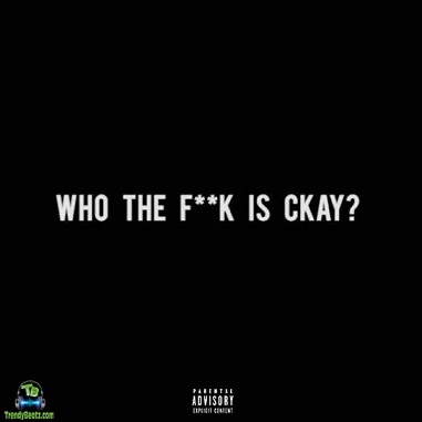 Download Ckay Who The Fuck Is CKay EP Album mp3