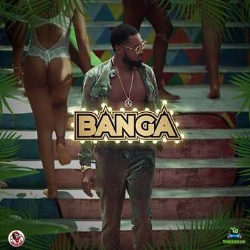 D Banj - Banga