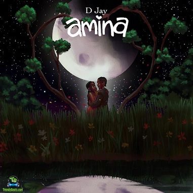 D Jay - Amina