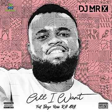 DJ Mr X - All I Want Is You ft K.O, AKA, Tshego, Roiii