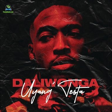Daliwonga - Tester ft King Monada