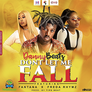 Danny Beatz - Don't Let Me Fall ft Fantana, Freda Rhymz