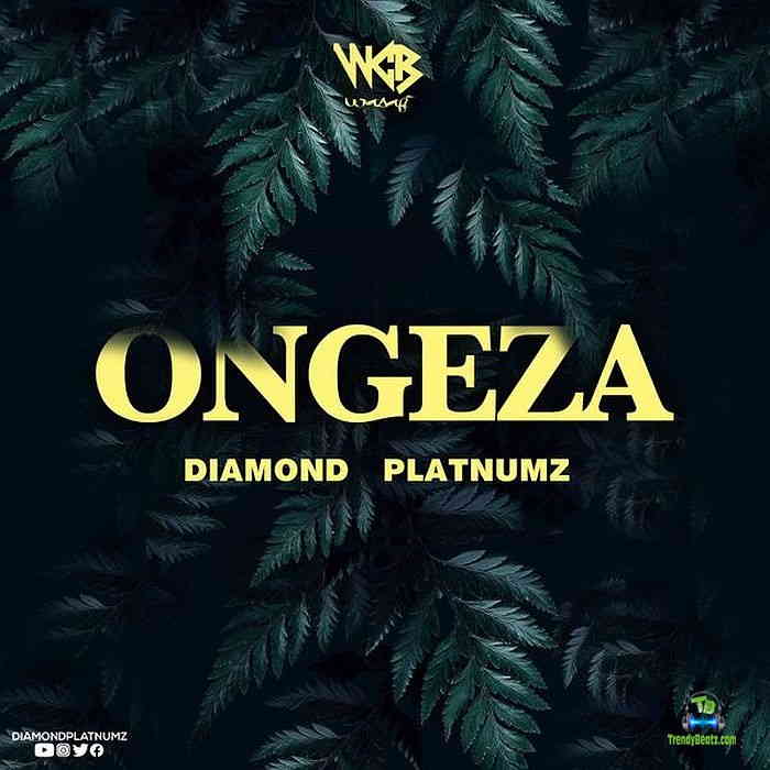 Diamond Platnumz - Ongeza