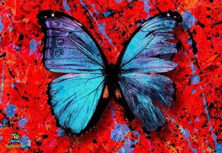 Ed Sheeran