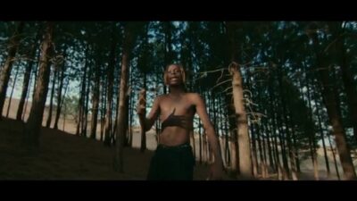 FireBoy DML - Champ (Video) ft D Smoke