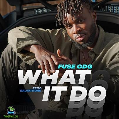 Fuse ODG - What It Do