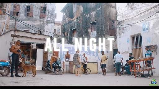 Harmonize - All Night (Video) ft Anjella
