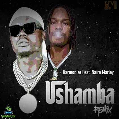 Harmonize - Ushamba (Remix) ft Naira Marley