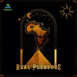 Jesse Jagz - Real Pleasure