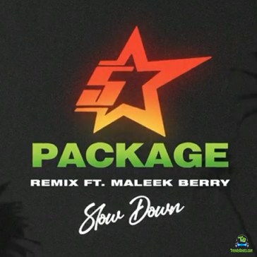 King Promise - Slow Down (Remix) ft Maleek Berry