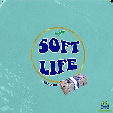 Lady Donli - Soft Life