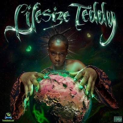 Lifesize Teddy - Air