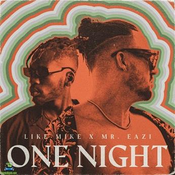 Like Mike - One Night ft Mr Eazi