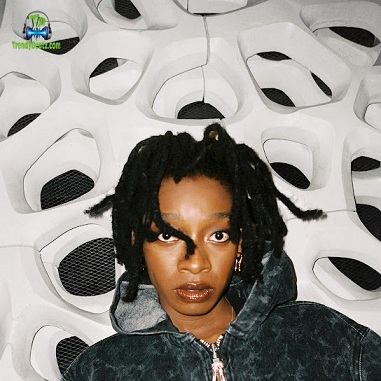 Little Simz