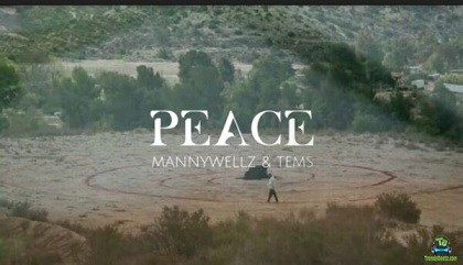 Mannywellz