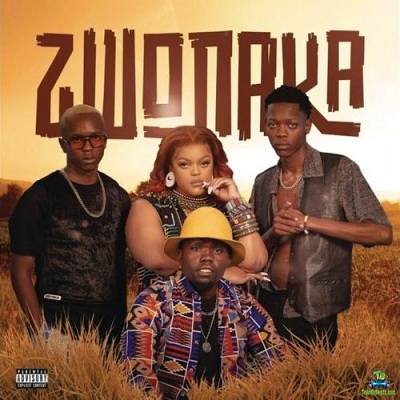 Mellow and Sleazy - Zwonaka ft DBN Gogo, Dinho