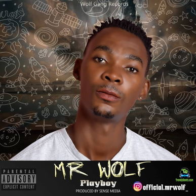 Mr Wolf - Play Boy