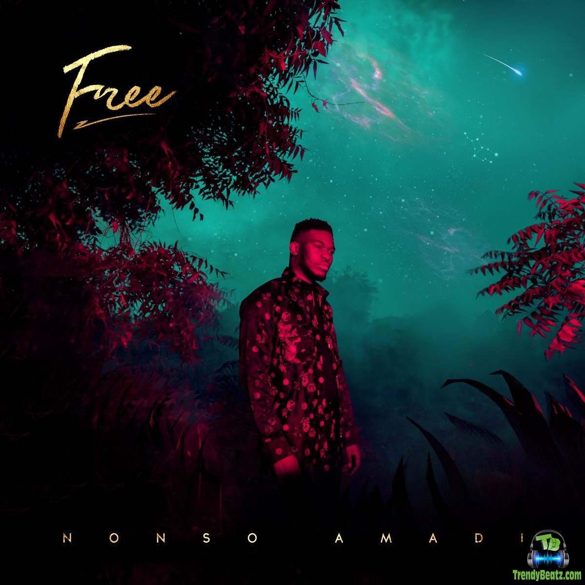Nonso Amadi