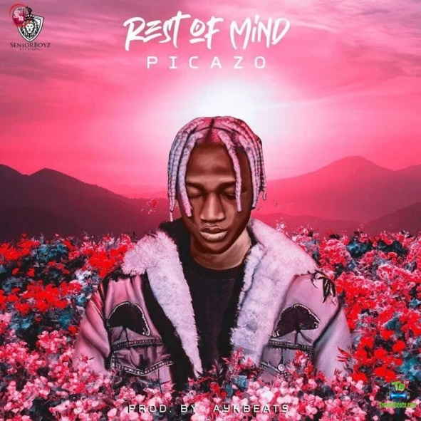 Picazo Rhap - Rest of Mind