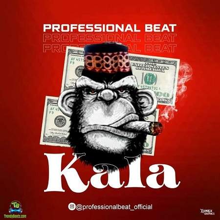 Professional Beat