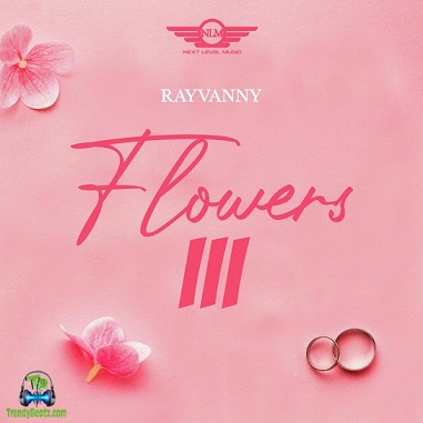 Rayvanny - Mchepuko ft Phina