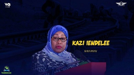 Rayvanny - Kazi Iendelee