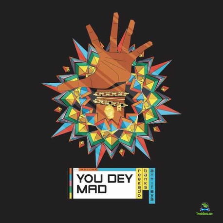 ReekadoBanks - You Dey Mad ft AttiFaya