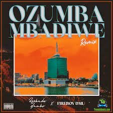 FireBoy DML - Ozumba Mbadiwe (Remix) ft Reekado Banks