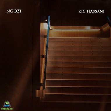 Ric Hassani