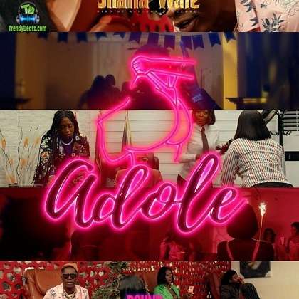 Shatta Wale - Adole