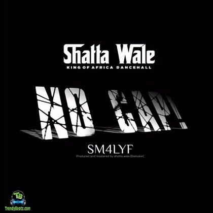 Shatta Wale - No Cap
