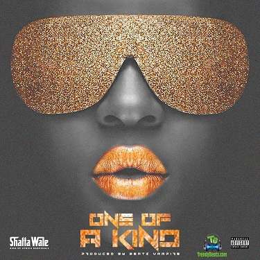 Shatta Wale - One Of A Kind