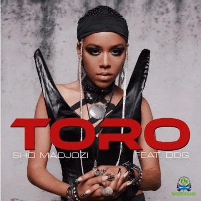 Sho Madjozi - Toro ft DDG
