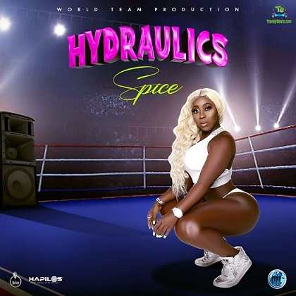 Spice - Hydraulics Wine
