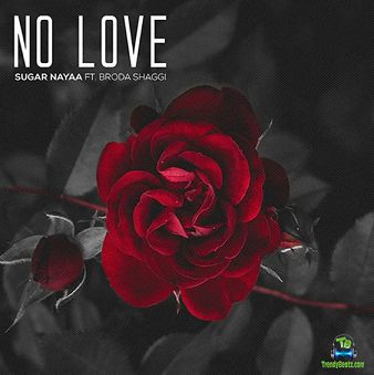 Sugar Nayaa - No Love ft Broda Shaggi